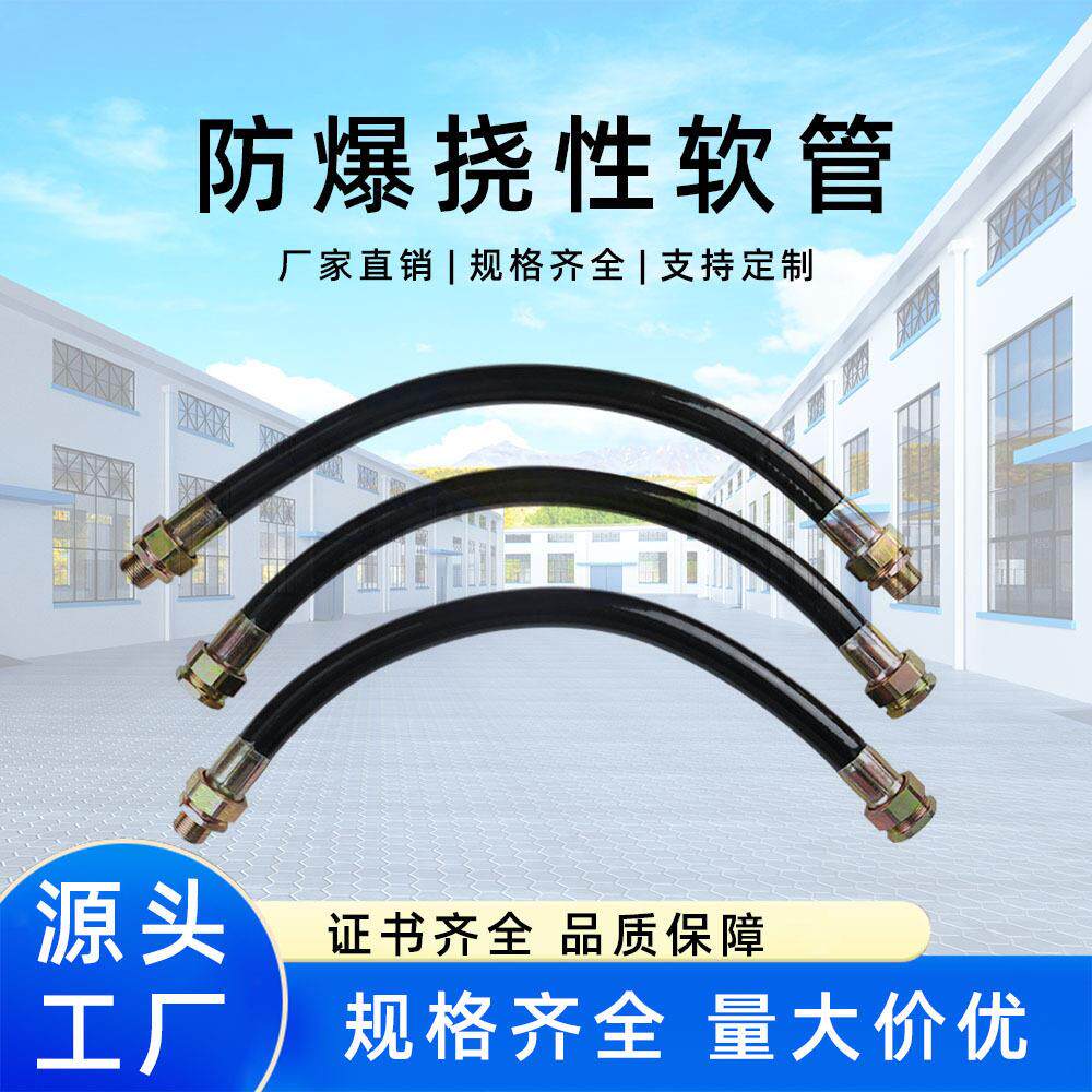 耐温BNG防爆电线电缆穿线挠性连接线软管6分DN15不锈钢金属软管