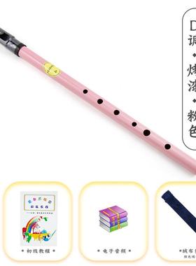 正品Feadog飞叨爱尔兰笛C黄铜D镀调镍调锡笛初学者自哨学乐器竖吹