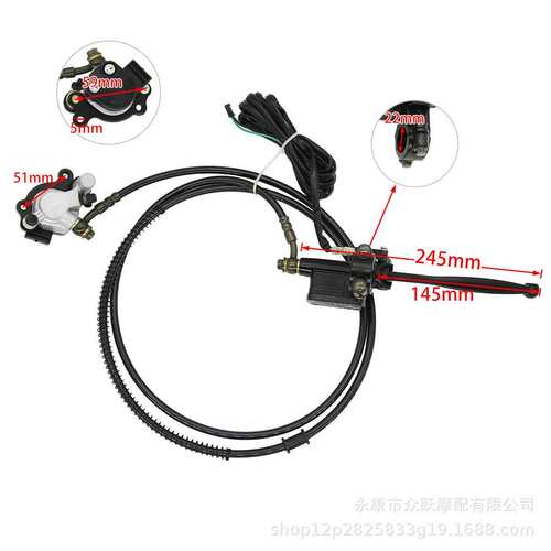 希洛普阿尔郎电动滑板车10寸后手刹车总成油刹油碟碟刹器刹车片