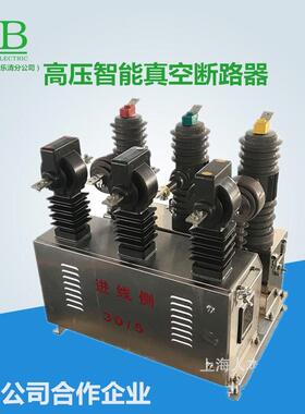 ZW（JLS）-12/630-20真空预付费组合开关高供高计户外真空断路器
