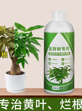 发财树专用营养液家用养花卉绿植水培通用型植物液体肥料