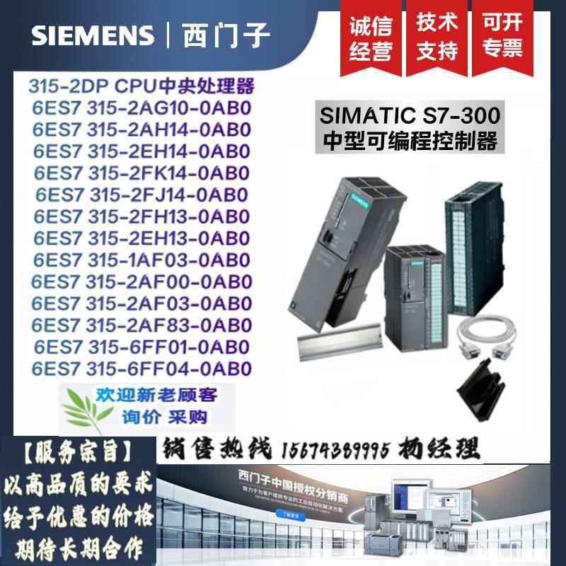 6ES7 3156ES7315-2AG10/2AH14/2EH14/2AF03/2FK00/6FF04-0AB0原装
