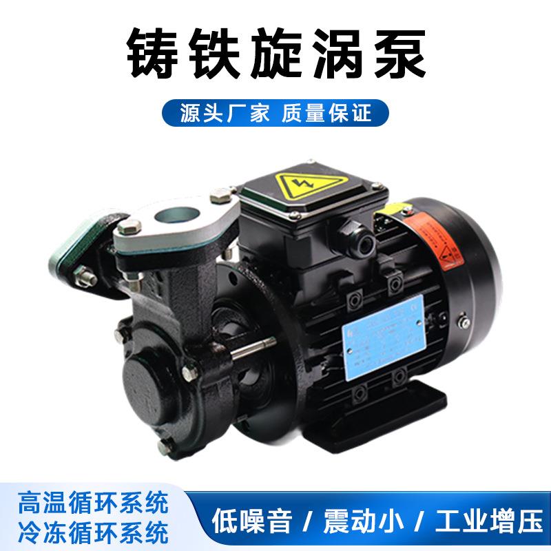铸铁旋涡泵HY-A1耐腐蚀热油热水泵振动小低噪音小型齿轮泵定制