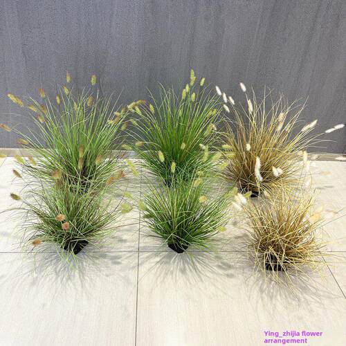 彷真绿植狗尾巴草假芦苇草落地盆栽装饰盆景室内客厅植物造景摆件