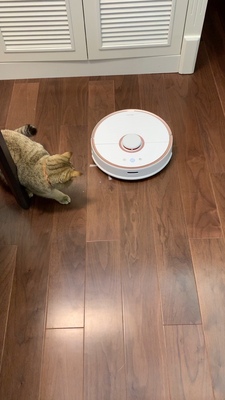 请教老铁入手石头天猫礼盒版扫地机器人怎么样，质量有保障吗，好不好用呀？