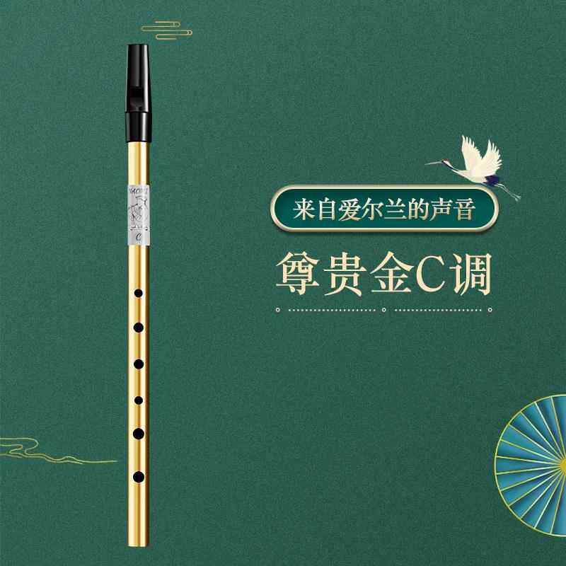 正品爱尔兰哨初学竖笛锡笛C调D调演笛子专者业奏高音直笛乐笛器学