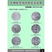 T9441 铸铁金相评级标准挂图 2009 T7216