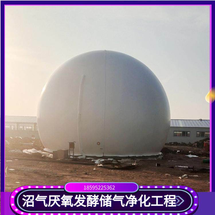 沼气双膜气柜 沼气发酵储气罐安装厂家 沼气储气柜设计大小