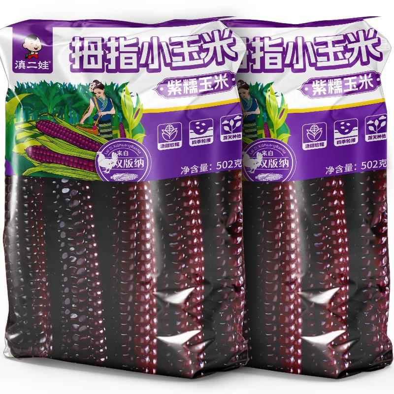 滇二娃西双版纳紫糯拇指玉米即食新鲜黑糯甜糯玉米孕妇儿童早餐