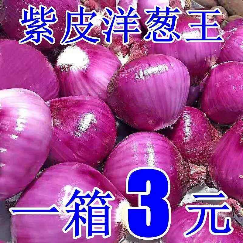 超低价云南紫皮小洋葱新鲜圆葱大凉山洋葱蔬菜红皮特产天然无污,粮油调味/速食/干货/烘焙,下饭/拌饭酱/拌饭料,淘宝优惠券,粉丝福利购,淘宝优惠卷