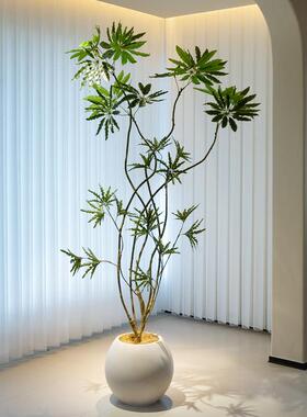 海虹景品孔雀招财树彷真绿色植物高端轻奢客厅落地假盆栽室内大型