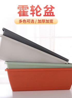 新款霍伦种菜盆家用阳台加厚大花盆蔬菜盆霍伦盆种植盆塑料花盆