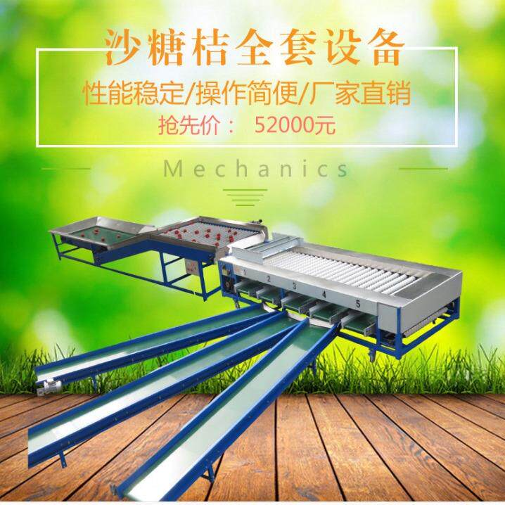 砂糖橘带叶分选机带枝带叶果蔬分级机柑桔有枝叶分级设备厂家直销