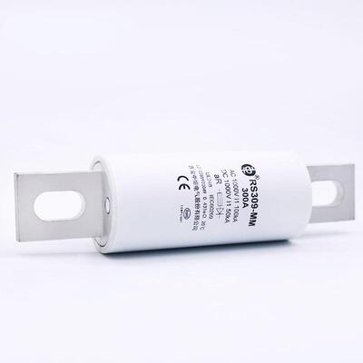 中熔电力熔断器RS309-MM-200/300/400/500A1000Vdc高压熔断器储能