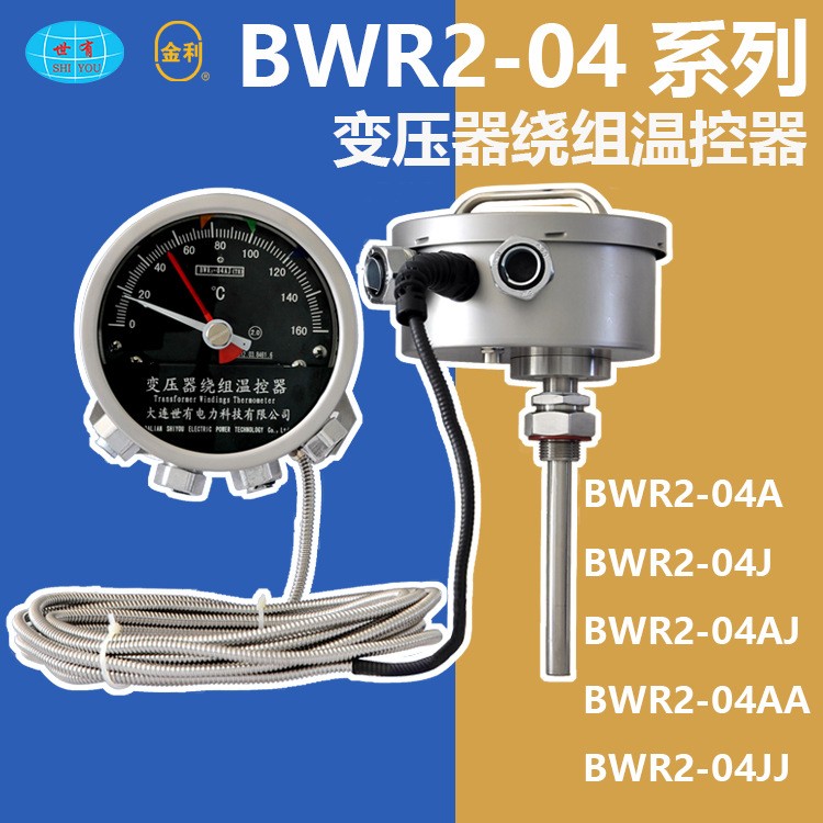 BWR204变压器绕组温度计绕组温控器大连世有仪器仪表国产台
