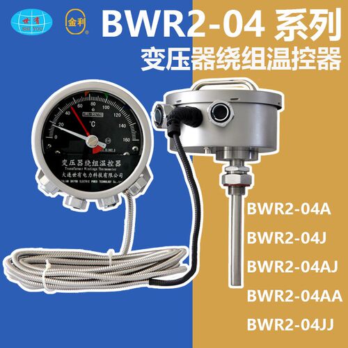 BWR204变压器绕组温度计绕组温控器大连世有仪器仪表国产台