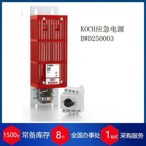 理德国应急电源BWD250003用于新能源汽车