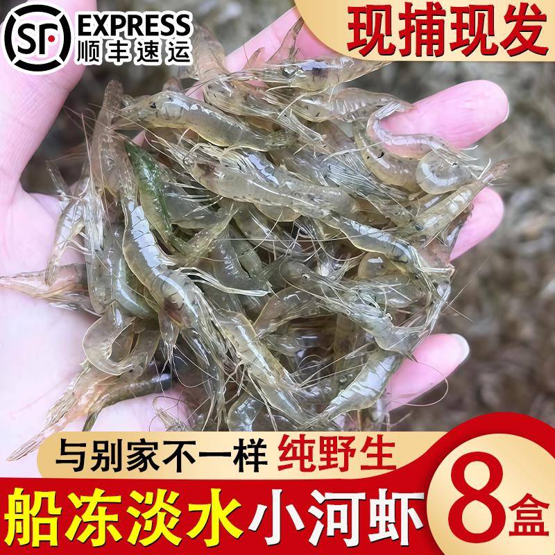新鲜小河虾淡水河虾鲜活河虾野生淡水小白虾青虾新鲜活冷冻小草虾
