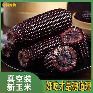 河北黑糯玉米真空10棒8棒粘糯玉米新鲜农家紫玉米棒即食代餐整箱