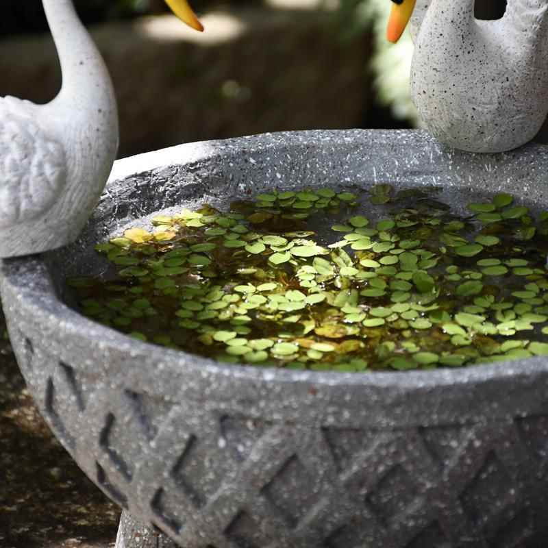 庭天花院园造景白鹅水培花盆摆绿件室内外植RX0011盆栽布置创意庭