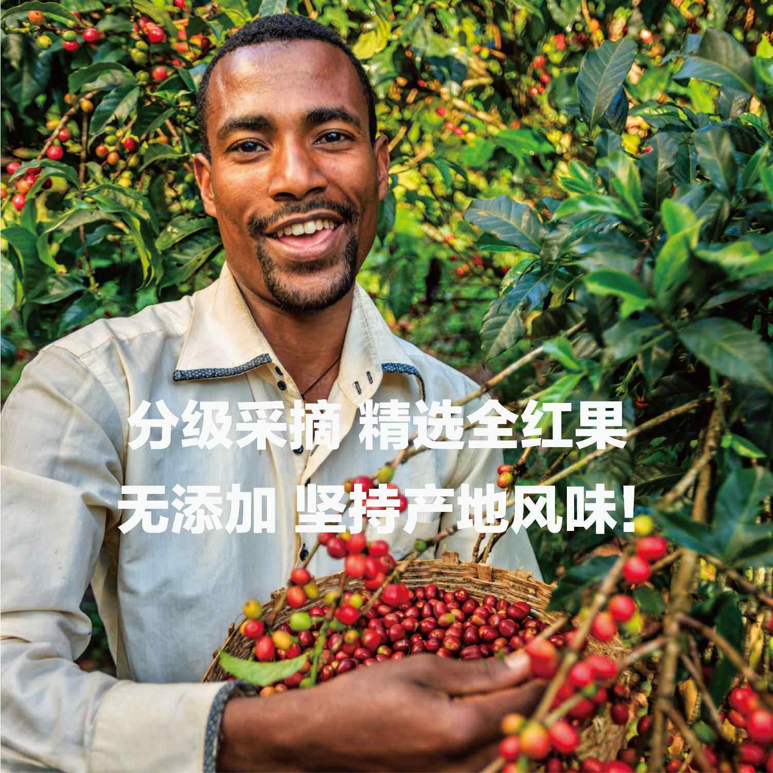 洪都拉斯 雪莉 酒桶发酵 手冲/SOE意式 精品咖啡豆 WINWINCOFFEE