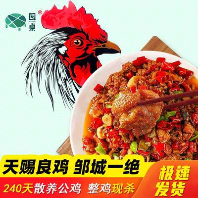 邹城炒鸡 天赐良鸡 邹城辣子鸡门店真空笨鸡山东济宁邹城特产礼盒