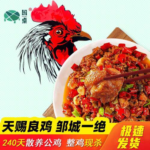 邹城炒鸡 天赐良鸡 邹城辣子鸡门店真空笨鸡山东济宁邹城特产礼盒