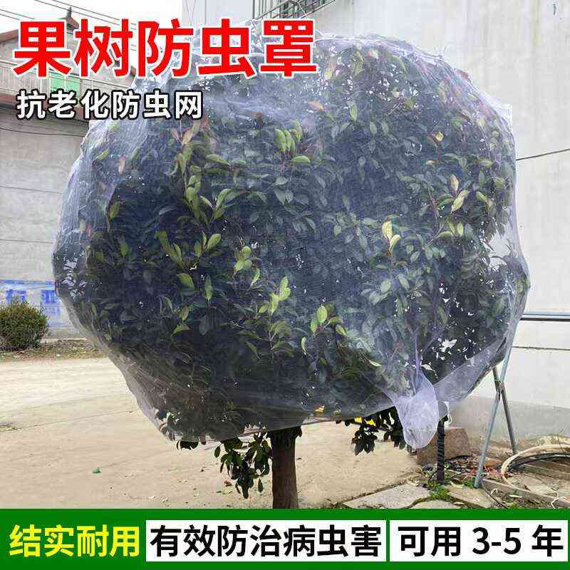 加厚防虫网蔬菜大棚果园猪场防蚊防虫专用网花卉防虫庭院防蚊网