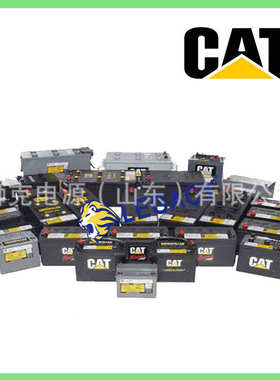 美国CAT蓄电池8C-3602/12V65AH，657A卡特彼勒电瓶