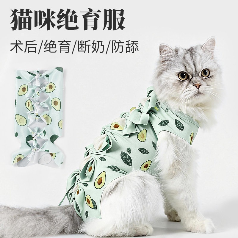 宠物猫猫咪绝育母猫手术生理裤
