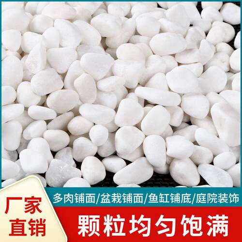 石子多鹅卵石雨花石小白栽培基质