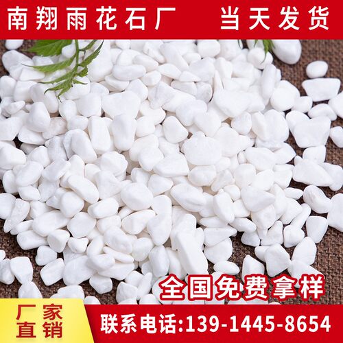 白色鹅卵石 白色石子盆栽铺面雪花白 鱼缸造景机制雨花石头