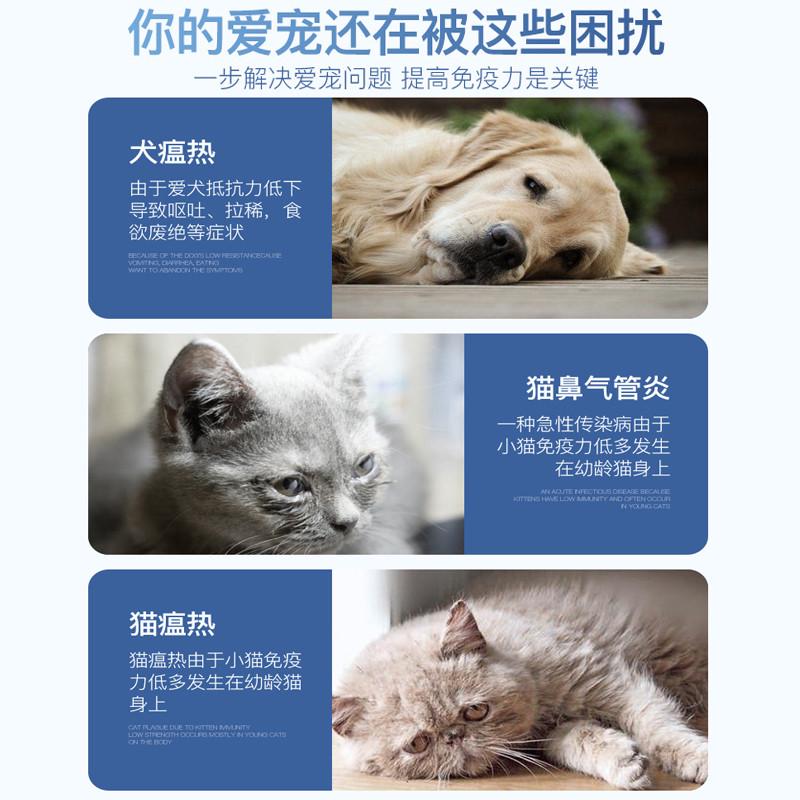 恩宠和乳铁蛋白粉猫增强免疫力猫咪狗狗幼犬猫鼻支宠物营养补充剂