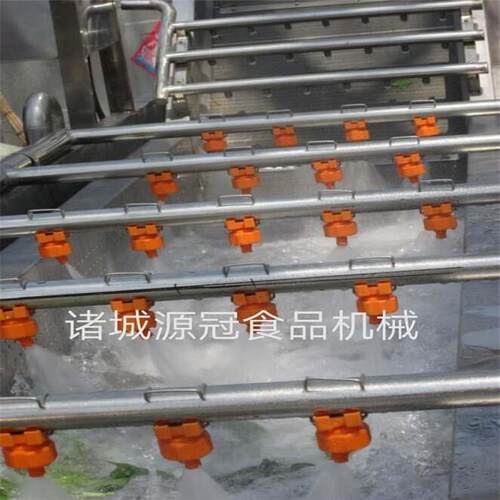 定制菠菜萝卜清洗机 果蔬气泡洗菜机预制菜清洗加工成套设备 源冠