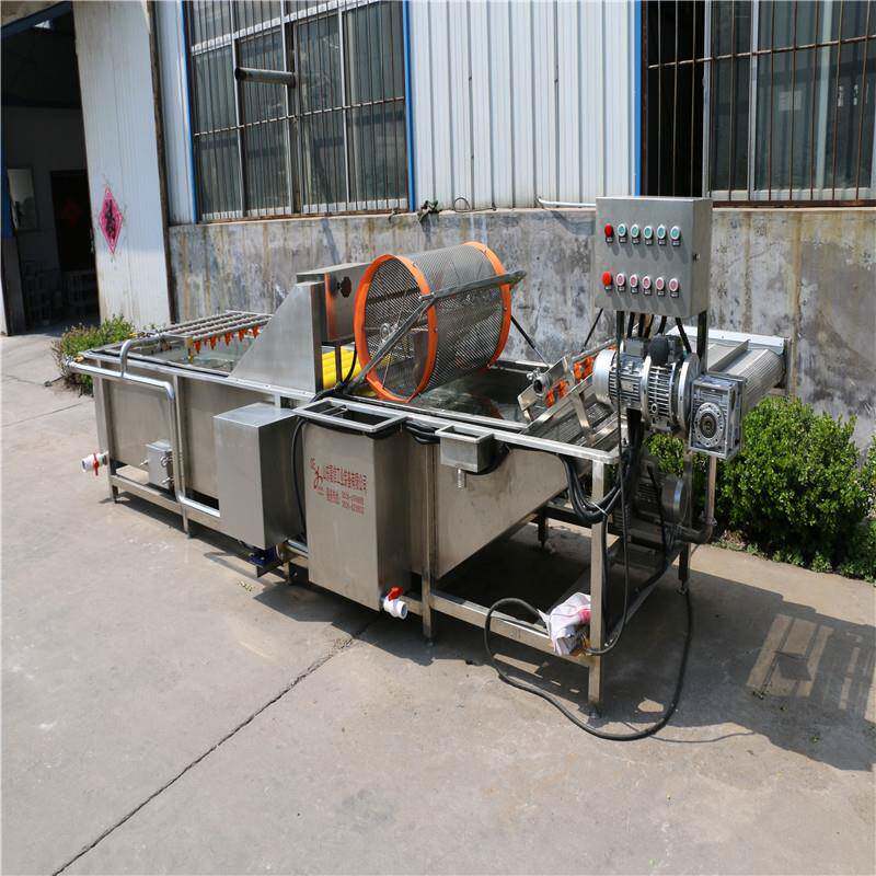 全自动喷淋式果蔬清洗机叶类蔬菜高压气泡清洗机清洗流水设备