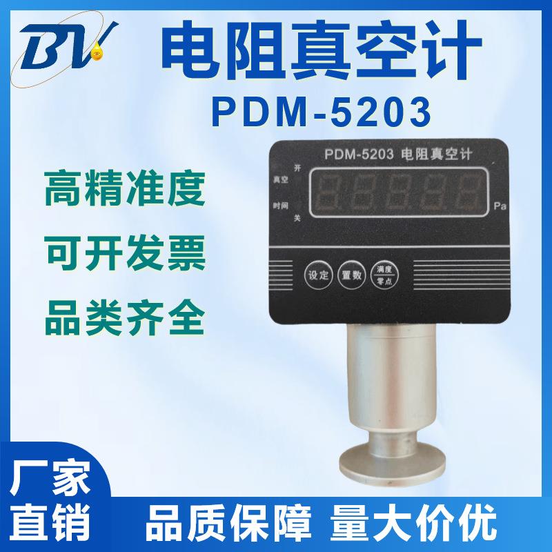 电阻真空计便捷式真空表真空计显示器PDM-5203数显真空计压力计