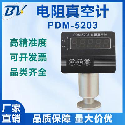电阻真空计便捷式真空表真空计显示器PDM-5203数显真空计压力计