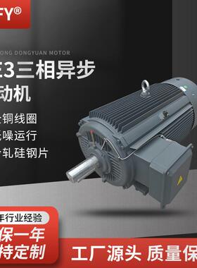 三相异步电动机 YE3-315L1/L2-10极电机 75/90KW 600r/min 380V