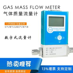 数显气体质量流量计 气体质量流量计 三氟化硼流量计测量控制厂家
