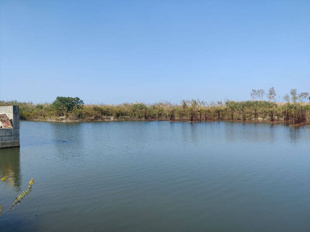 6月3日苏州市地块及其宗地内建筑物（在建工程）的商业房地产网络拍卖公告