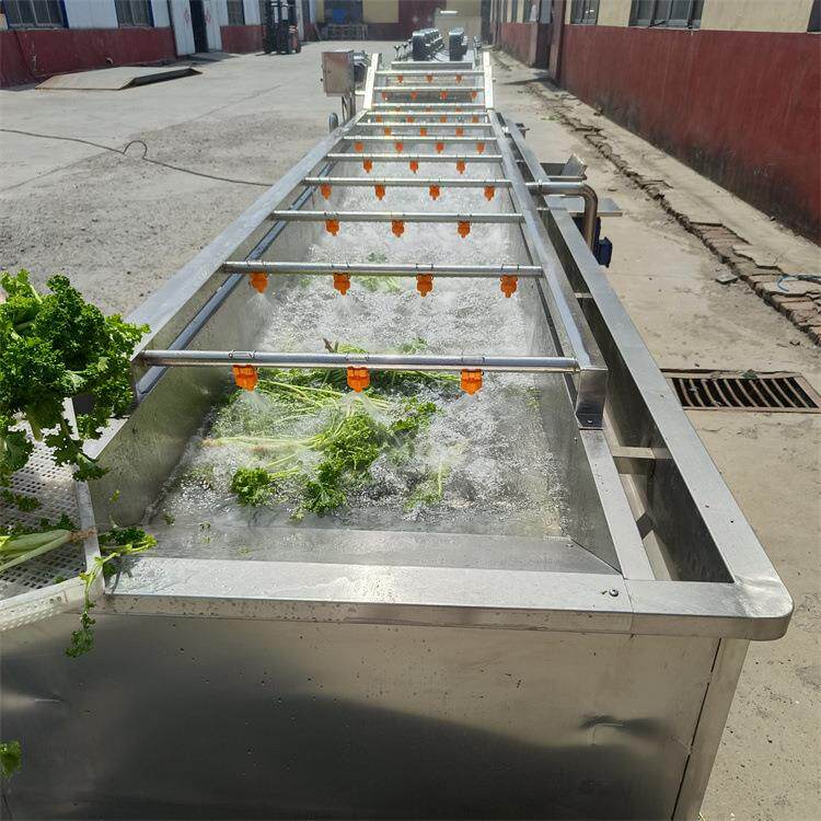 雪里蕻清洗机 乌塌菜清洗机器 叶菜去农药残留清洗机