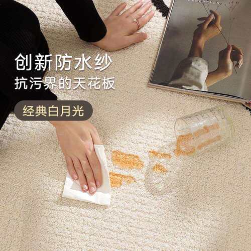 硅藻丝秋冬客厅地毯轻奢高级风复古卧室家用沙发茶几防污防水地垫