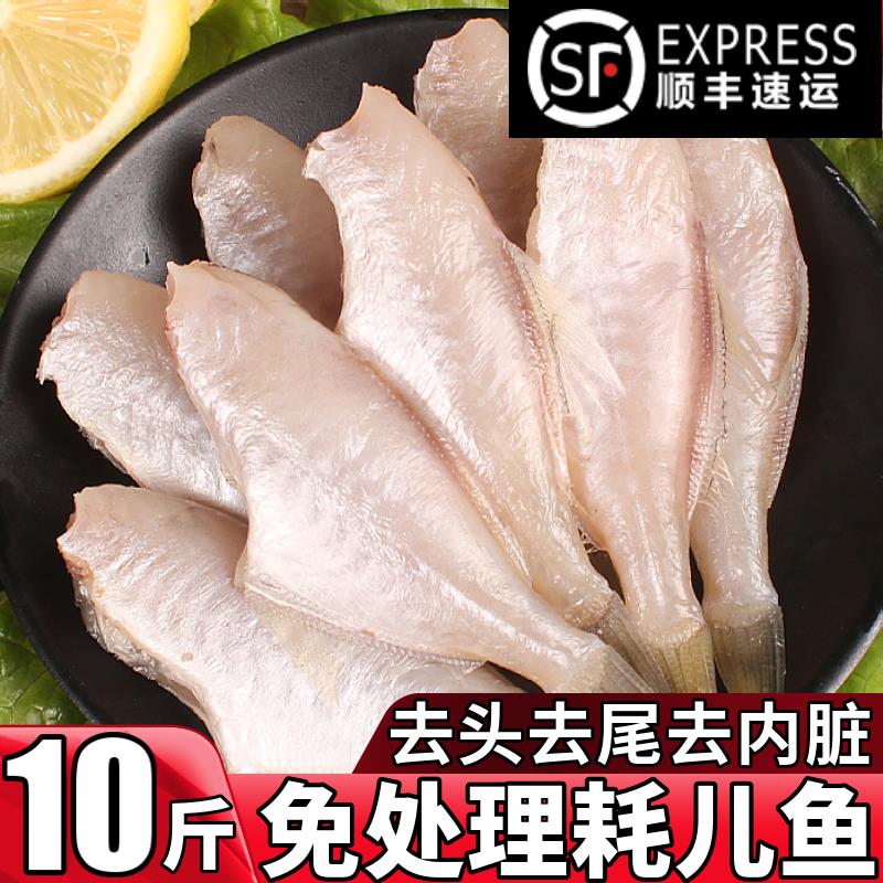 耗儿鱼新鲜冷冻中小号商用10斤免处理火锅马面鱼扒皮剥皮鱼海鲜