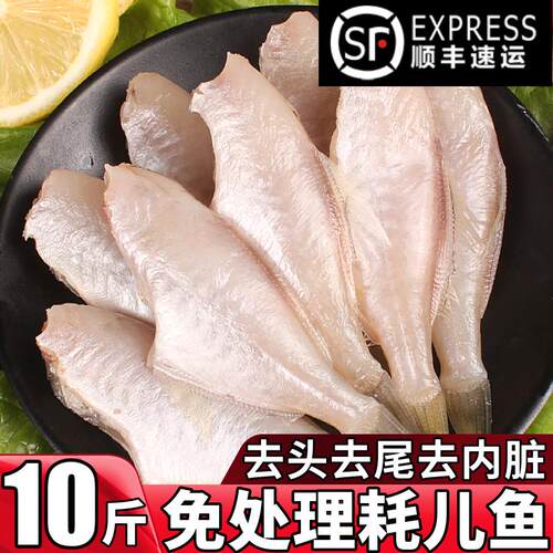 耗儿鱼新鲜冷冻中小号商用10斤免处理火锅马面鱼扒皮剥皮鱼海鲜