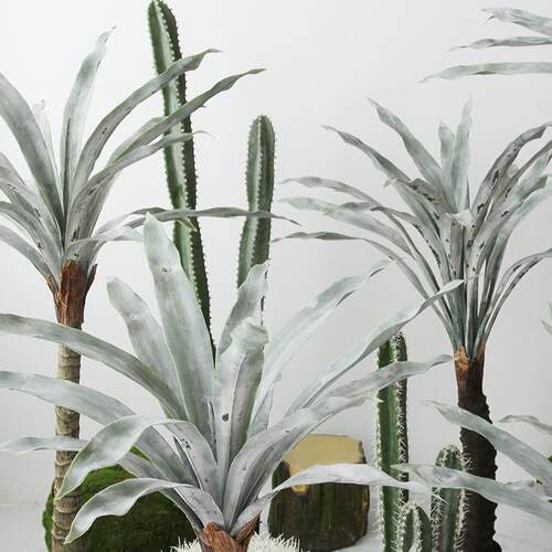 仿真灰白剑兰热带雨林沙漠绿植物龙舌兰工程装饰造景橱窗落地摆件