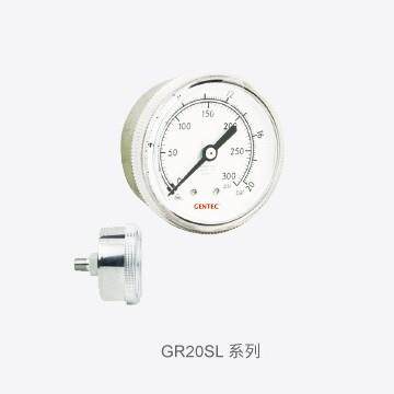 捷锐不锈钢压力表头G20SL系列径向GR20SL系列轴向 PC透明窗