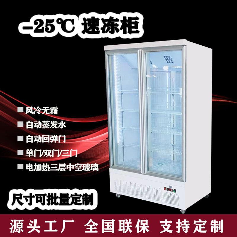 定制商用立式冰柜冻品预制菜水饺肉丸汤圆雪糕冷冻展示柜除雾玻璃