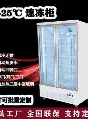 定制商用立式冰柜冻品预制菜水饺肉丸汤圆雪糕冷冻展示柜除雾玻璃