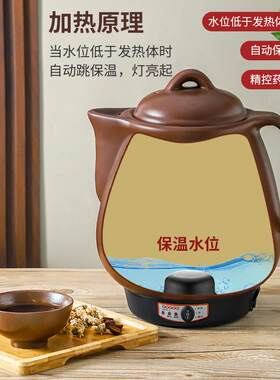 大容量煎中药熬壶全自动电锅紫砂养生药药煲家砂用LT DW601中医煮