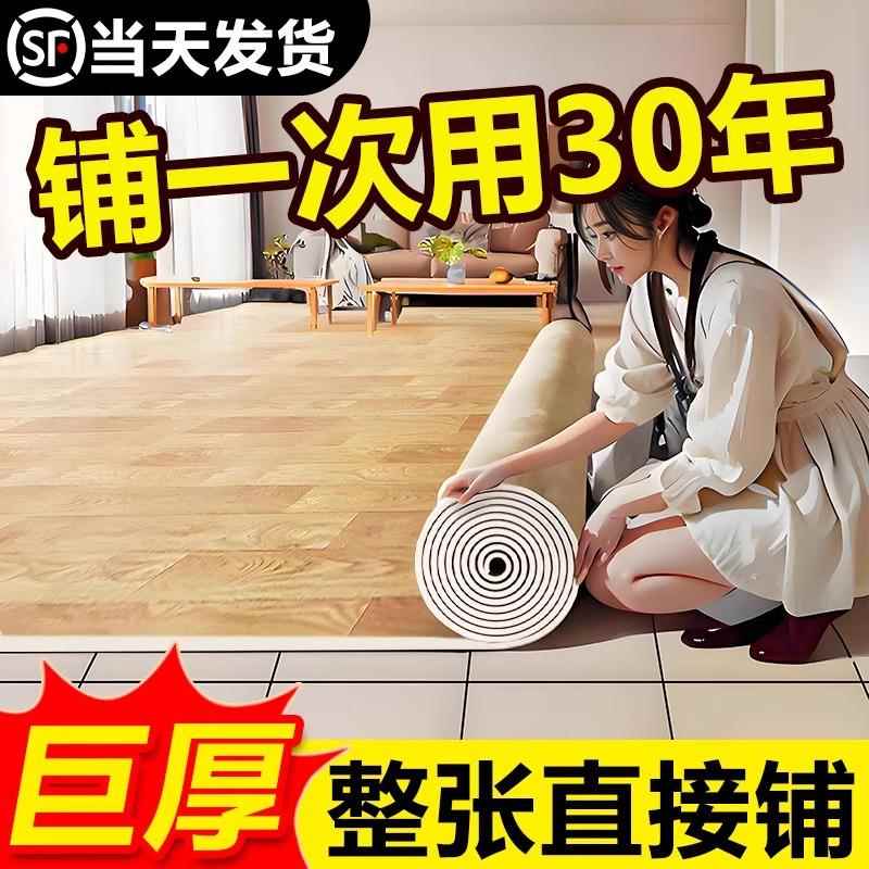 免打理客厅地毯办公室商用2024新款出租屋卧室防水地垫大面积全铺